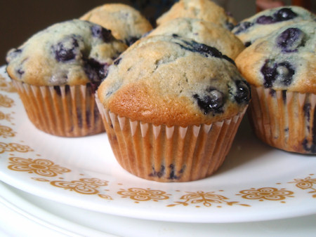 Best ever blueberry muffins