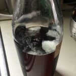 Mold on maple syrup